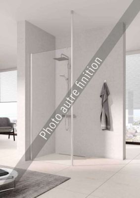 Paroi walk-in PEGA PETWP L90 2M argent poli v.clair clean ROTH - 1403036188